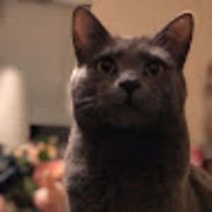 Meet your Posher, Oatty